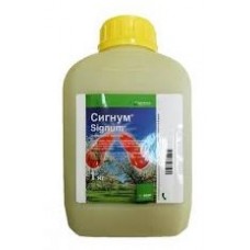 СИГНУМ